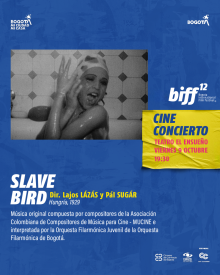 Pieza promocional